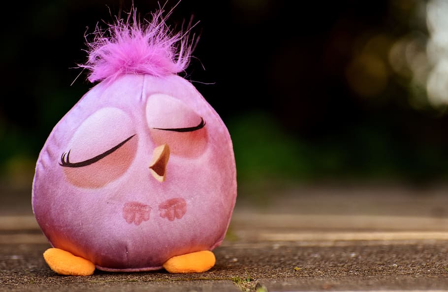 bird, soft toy, funny, feather, cute, kuscheltier toy, food HD wallpaper
