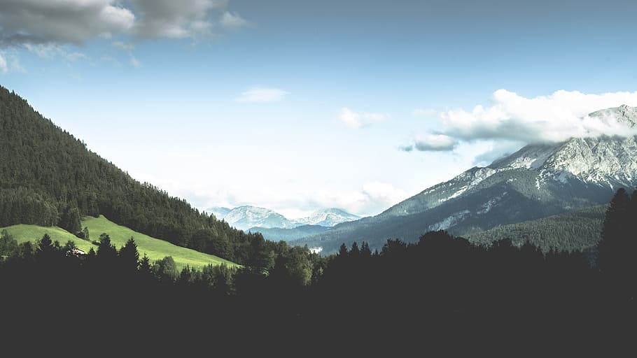 aerial photo of forest during daytime, trees field and mountain alps at distance HD wallpaper