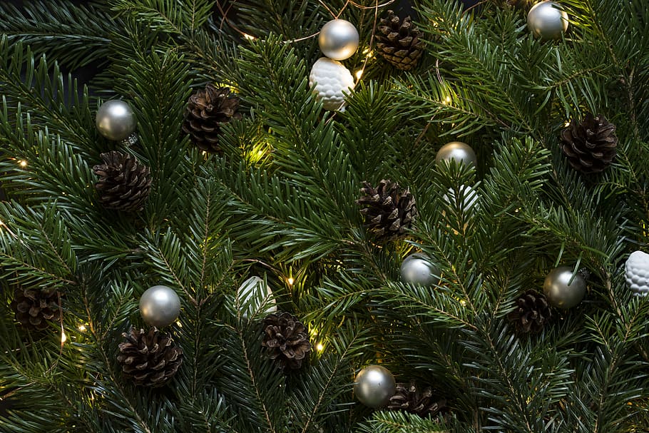 closeup photo of Christmas tree with ornament and lighted lights, green spruce with pine cones and Christmas baubles HD wallpaper