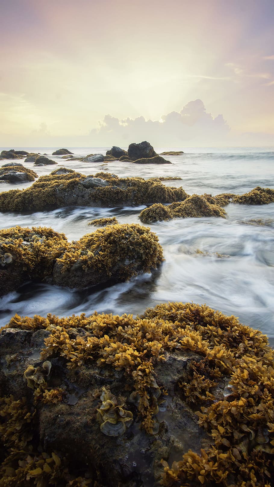 sea, dawn, landscape, sunset, beach, beautiful, calm, fresh, green HD wallpaper