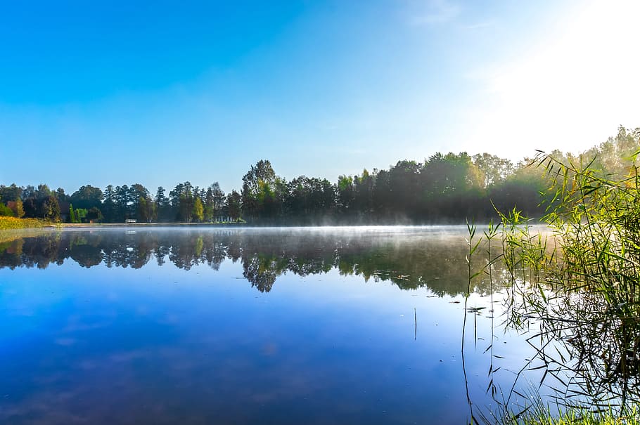 lake, reflection, nature, waters, landscape, tree, summer, scenic HD wallpaper