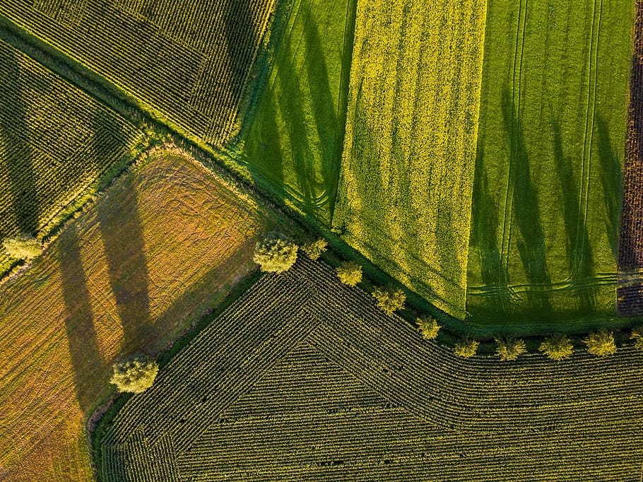 aerial photography of field, aerial view of green grass field HD wallpaper