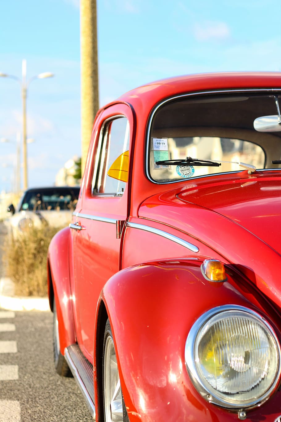 red Volkswagen Beetle, red Volkswagen Beetle coupe under blue sky at daytime HD wallpaper