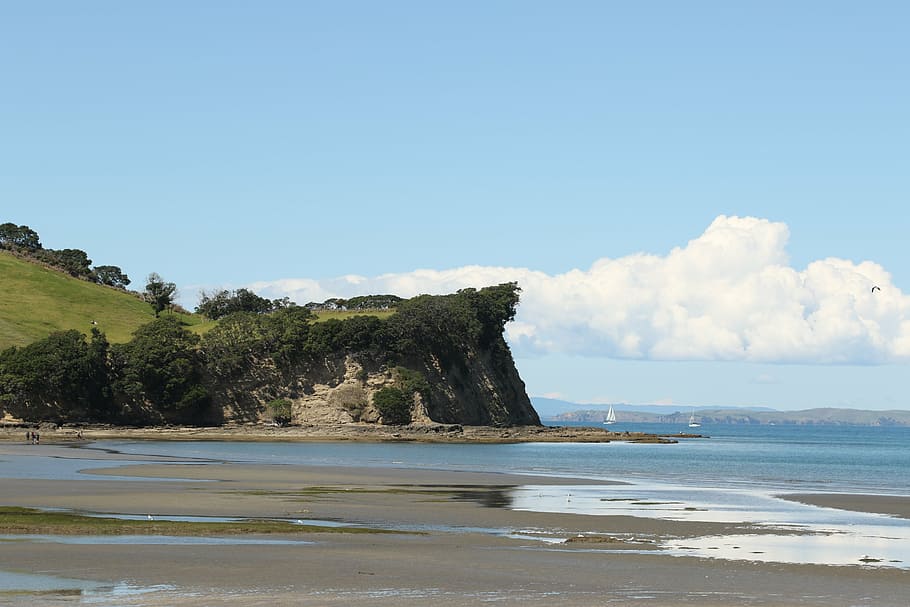 hill, ocean, beach, blue, sky, water, sand, trees, clouds, shakespear reserve HD wallpaper