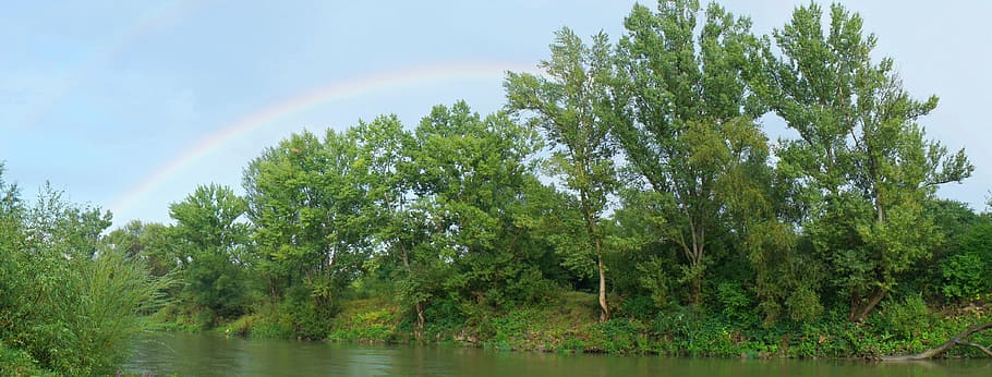 rainbow, green, trees, river, nature, outdoors, water, plant HD wallpaper