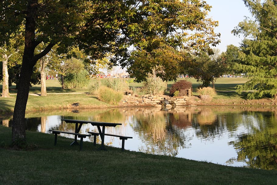 tree, nature, grass, landscape, outdoors, plant, water, seat HD wallpaper