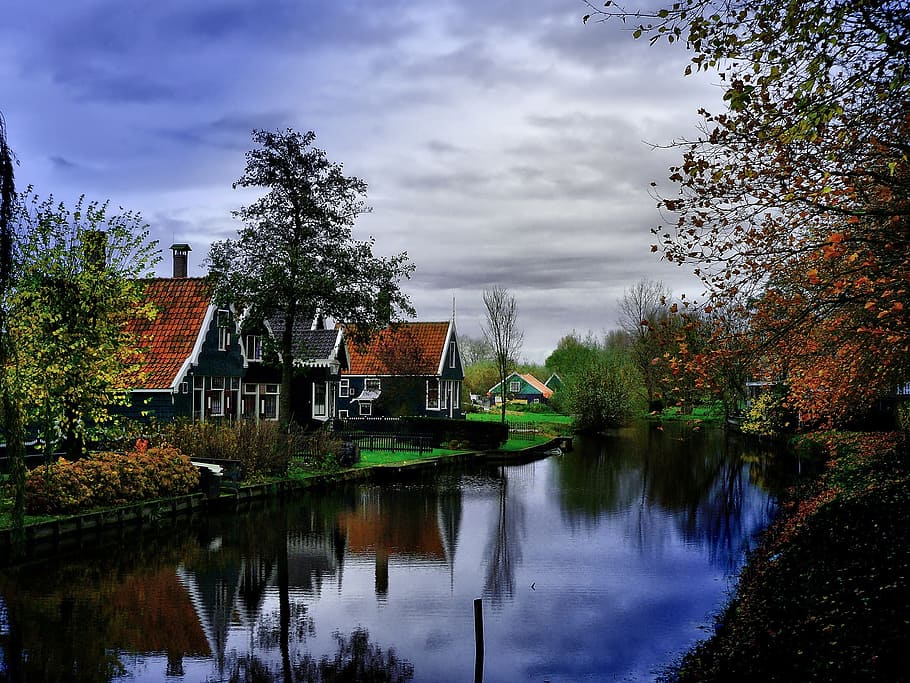 several houses near river and trees, zaanse schans, netherlands HD wallpaper