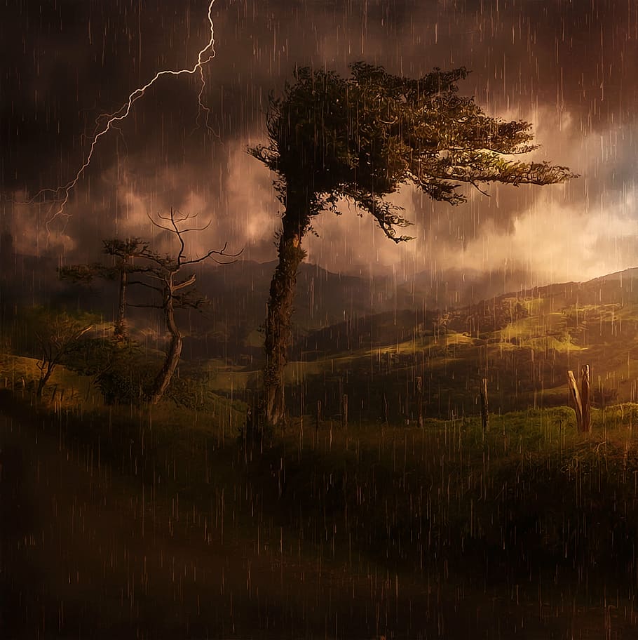 green tree under stormy weather, landscape, nature, mountains, HD wallpaper