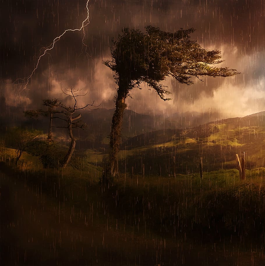 green tree under stormy weather, landscape, nature, mountains HD wallpaper