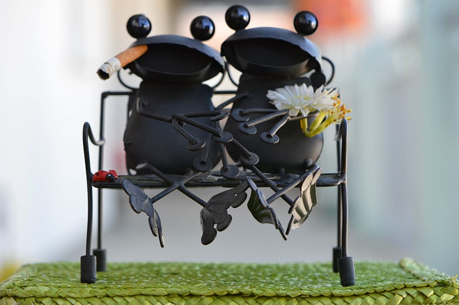 frogs, metal, pair, love, funny, deco, flower, flowering plant HD wallpaper
