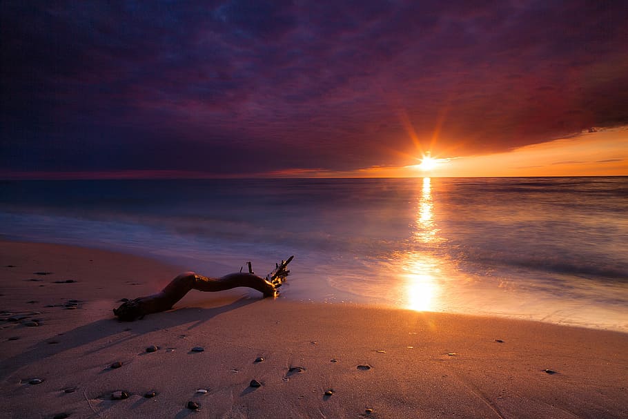 driftwood on shore during sunset, sea, clouds, beach, reflexion, HD wallpaper