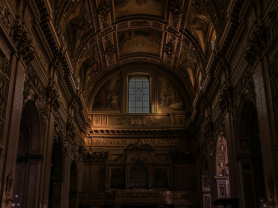worm's-eye view photography of cathedral, roma, ceiling, architecture HD wallpaper