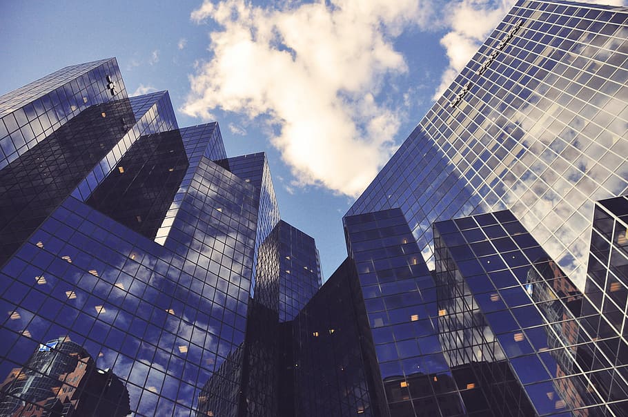 low angle photo of curtain wall building, worm's-eye photography of glass building HD wallpaper