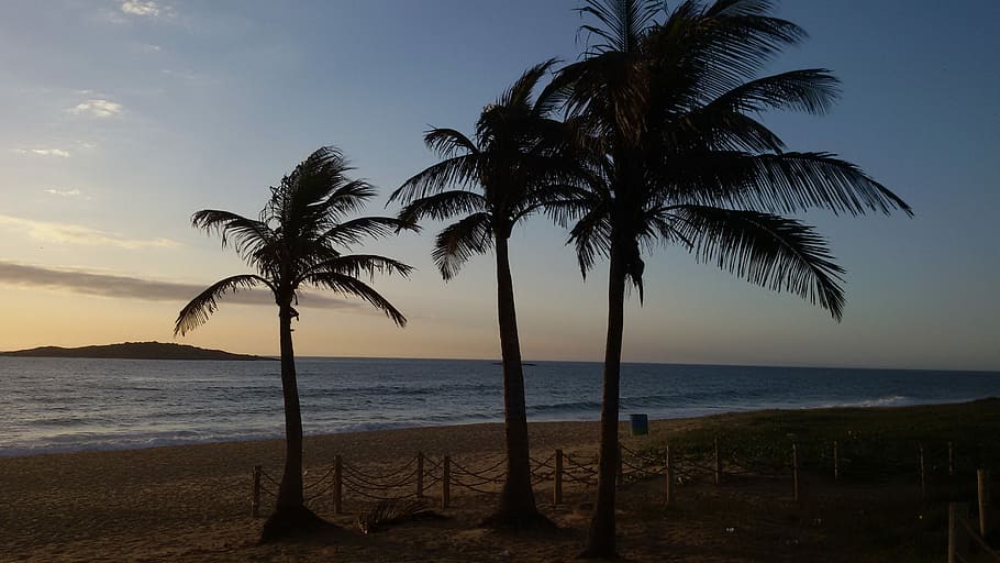 Beach, Beira Mar, Sol, sea, palm tree, horizon over water, tropical climate HD wallpaper