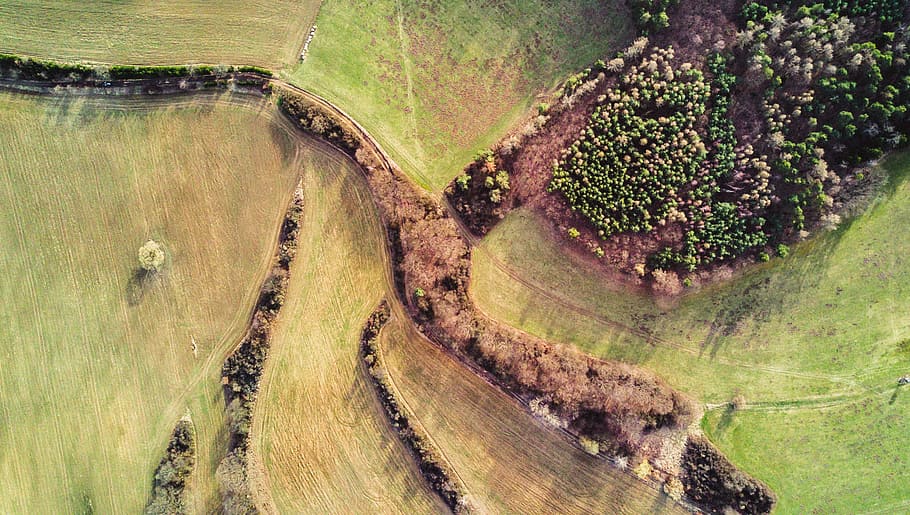 farm aerial photography, aerial photo of green plant field, drone shot HD wallpaper