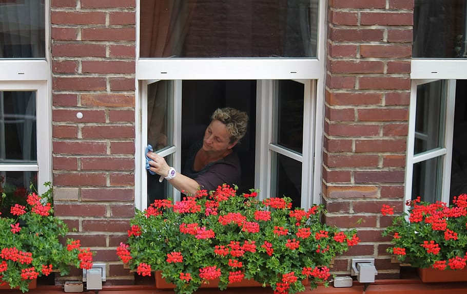 woman cleaning clear glass window, washing windows, person HD wallpaper