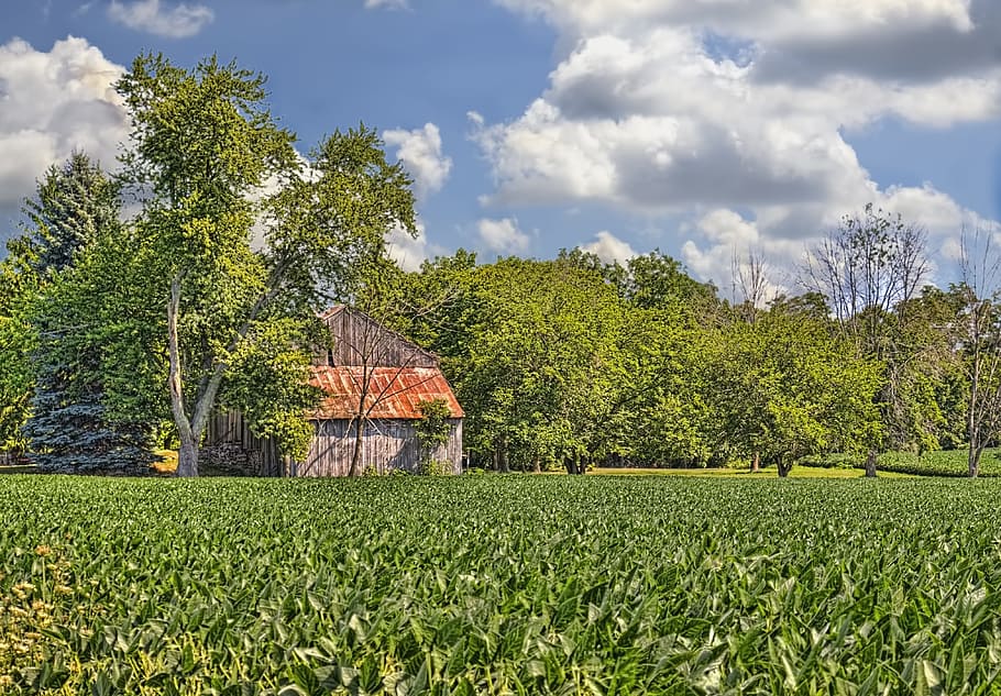 barn, rustic, barns, ohio, digital art, rural, scenic, country HD wallpaper