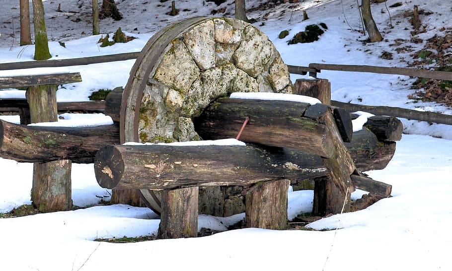 stone, kalisz pomorski, park, tree, winter, snow, cold temperature HD wallpaper