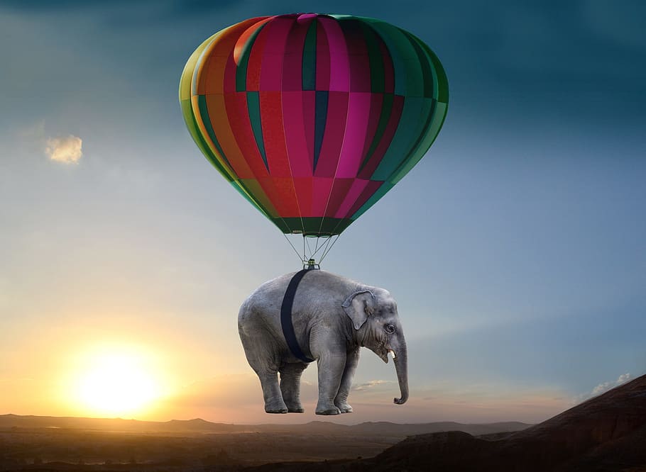 elephant balloon photo, sunset, steppe, weightless, ease, pachyderm HD wallpaper