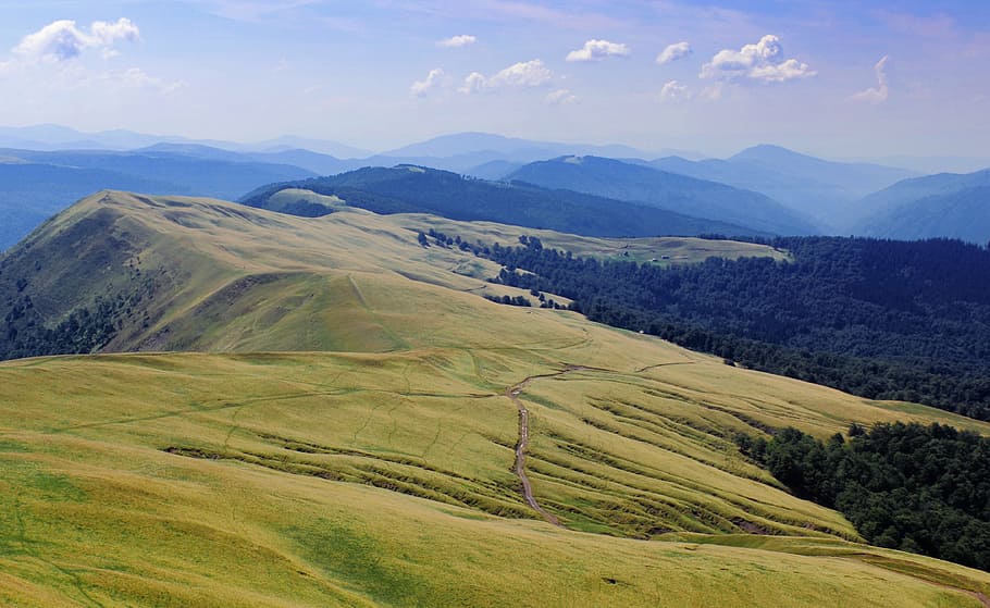landscape, nature, mountains, meadows, poland, scenery, tree HD wallpaper