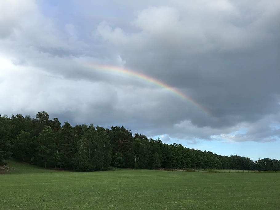 rainbow, forest, landscapes, hage, cloud, nature, grass, cloud - Sky HD wallpaper