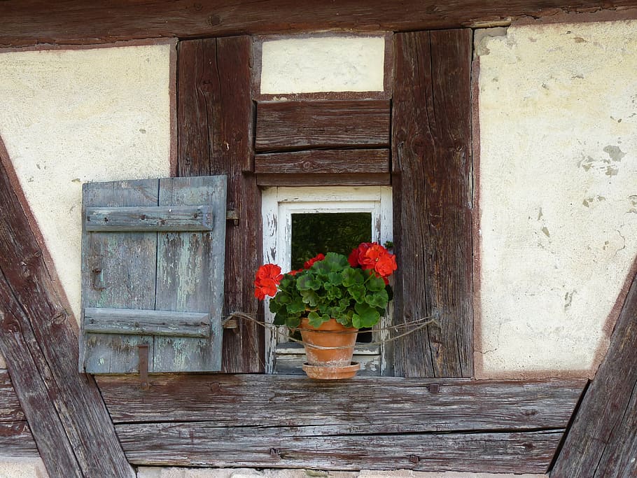 truss, window, flower, shutter, museum of local history, wood HD wallpaper