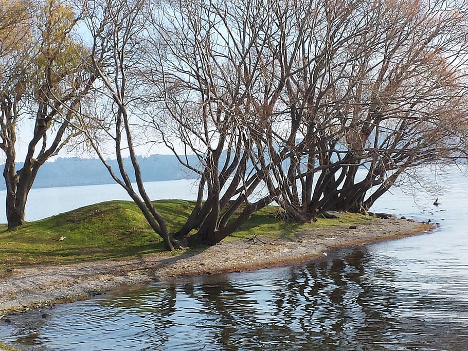 calm, shadow, lake, view, water, fresh, tree, plant, tranquility HD wallpaper
