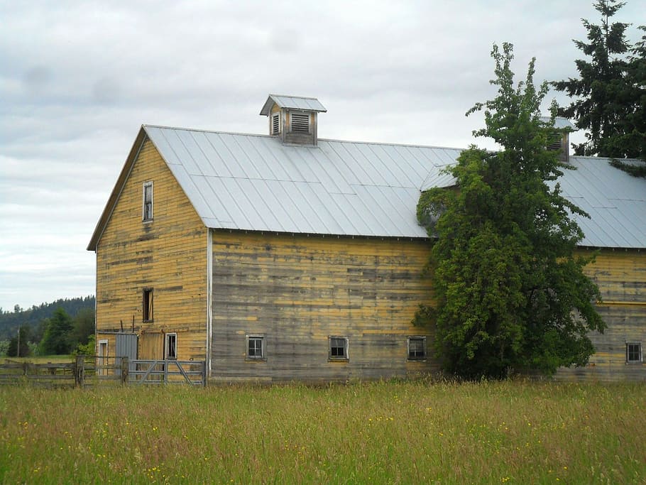 barn, weathered, rustic, aged, color, yellow, country, landscape HD wallpaper