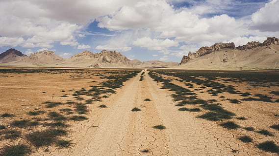 brown dessert with green grass, valley with green grasses, path HD wallpaper