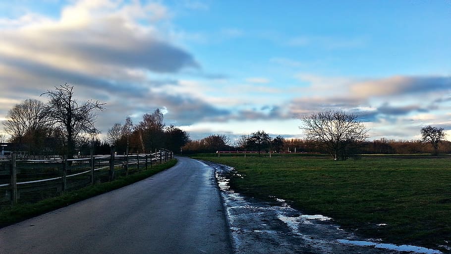 landscape, field, clouds, nature, spring, sky, tree, plant HD wallpaper