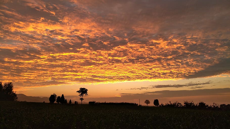 sunset, nature, orange color, sky, cloud - sky, beauty in nature HD wallpaper