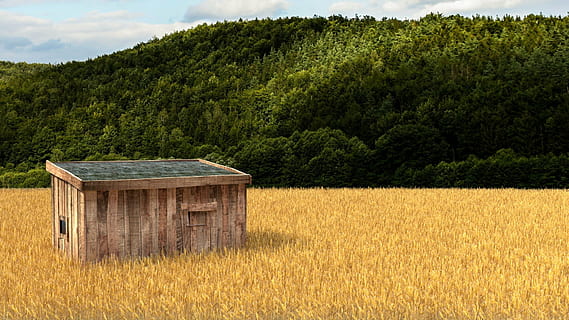 field, 3d render, blender, lonely, hut, purple juice graphics HD wallpaper