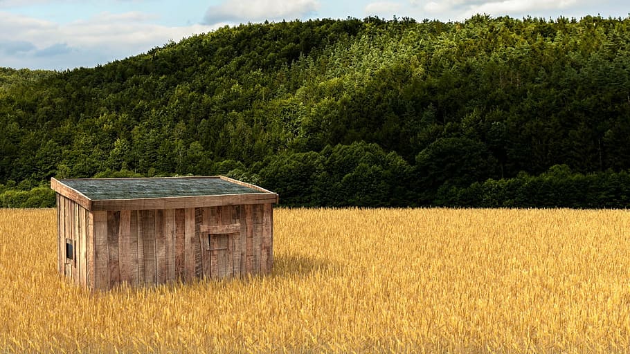 field, 3d render, blender, lonely, hut, purple juice graphics HD wallpaper