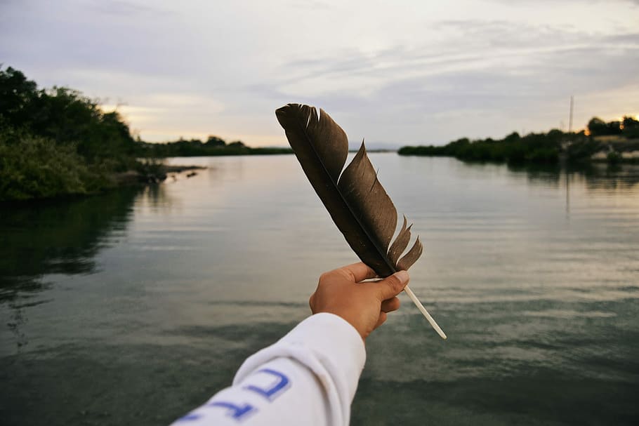 person holding black feather, hand, river, tree, landscape, reflection HD wallpaper