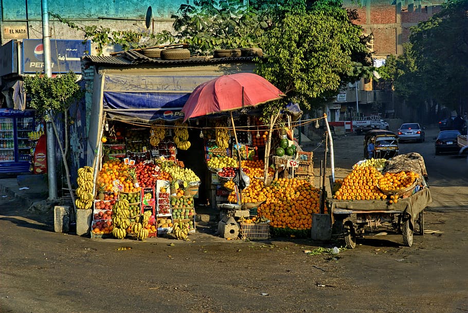egypt, called rothmans, fruit, buy, healthy eating, vegetables, HD wallpaper
