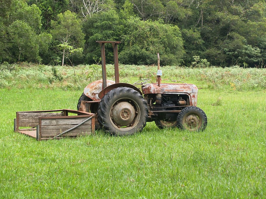tractor, old, farm, field, agriculture, farming, rural, wheel, HD wallpaper