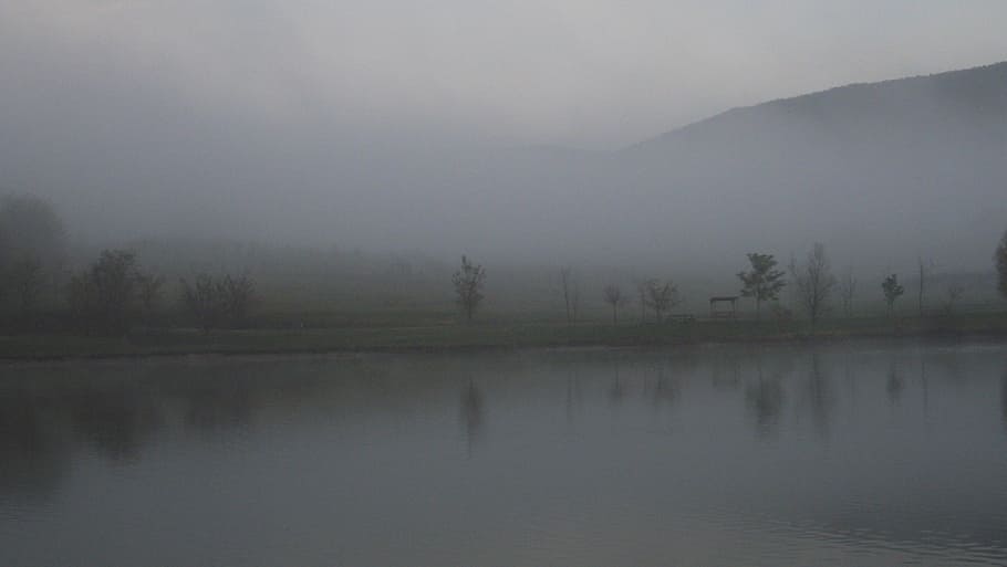 fog, landscape, nature, water, tree, tranquility, lake, scenics - nature HD wallpaper