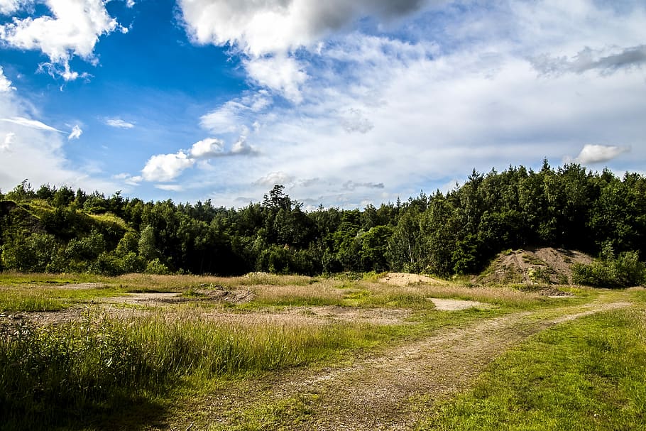Landscape, Clouds, Nature, sky, cloud - sky, tree, scenics HD wallpaper