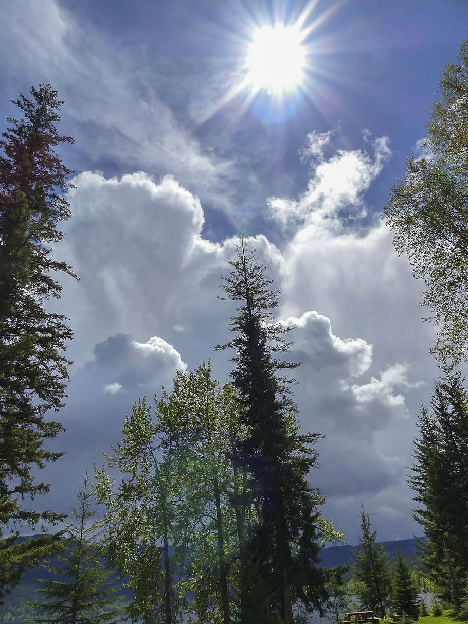 cumulus clouds, thunderstorm, weather, sky, landscape, scenery HD wallpaper