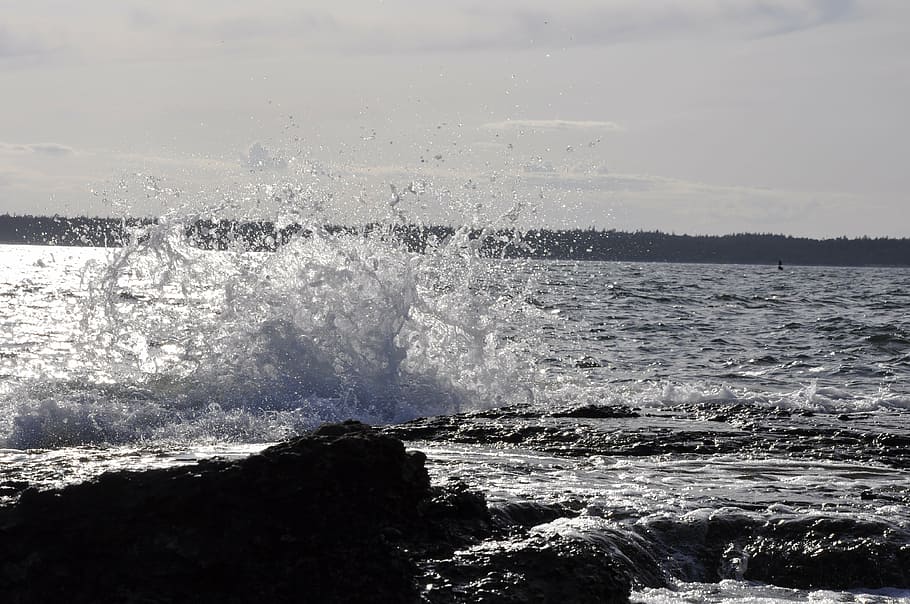 water, splash, coastal, motion, sea, splashing, wave, beauty in nature HD wallpaper
