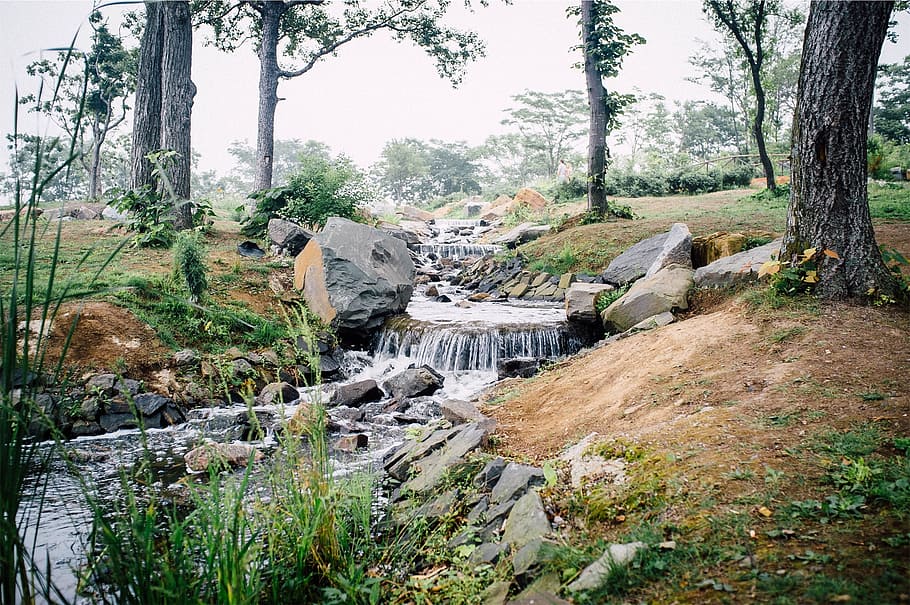 river, stream, water, rocks, nature, tree, plant, forest, trunk HD wallpaper