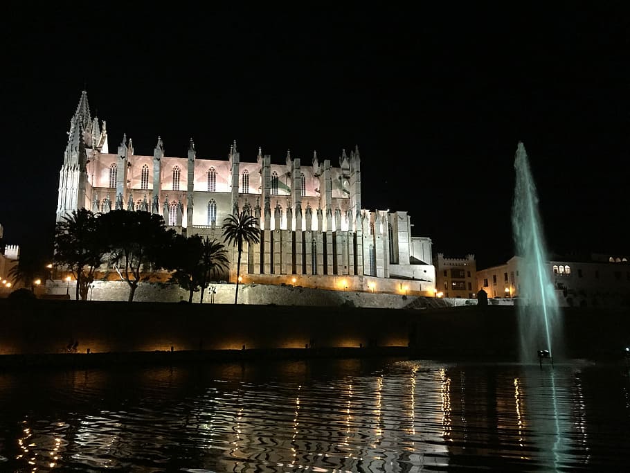 Cathedral, Night, Reflection, Water, architecture, church, building HD wallpaper