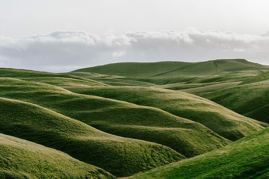 green valley, green mountain under cloudy sky, hill, rolling hill HD wallpaper