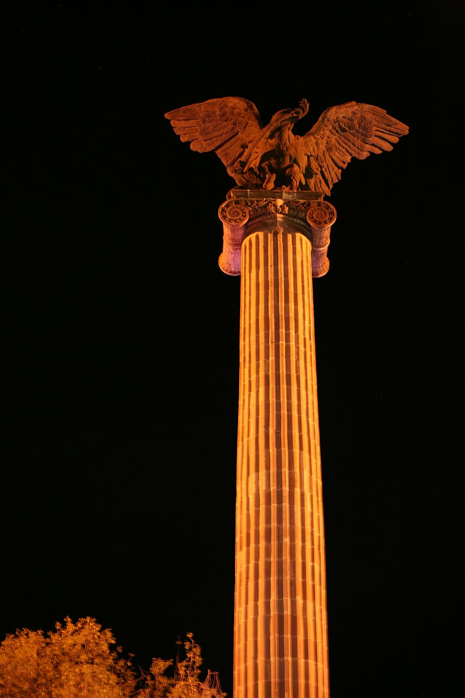 plaza, eagle, exedra, aguascalientes, column, night, architecture HD wallpaper