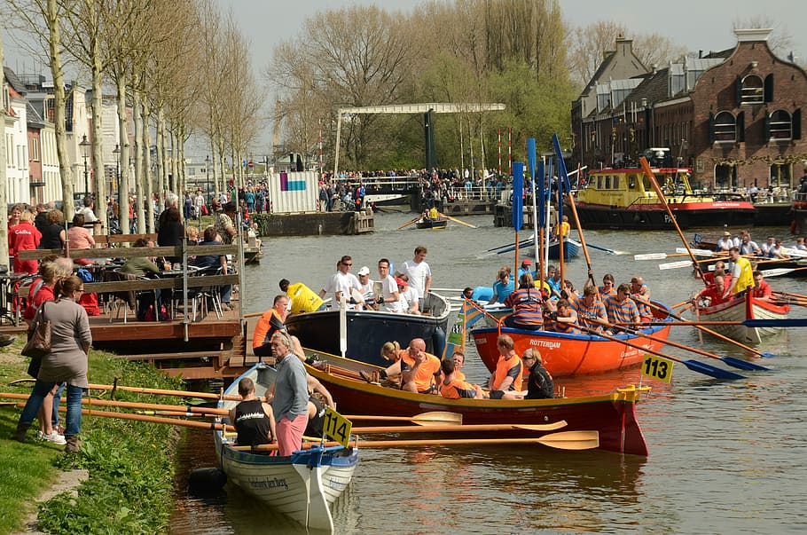 Rowing Boat, Paddle, Contest, boating, weesp, netherlands, nautical vessel HD wallpaper