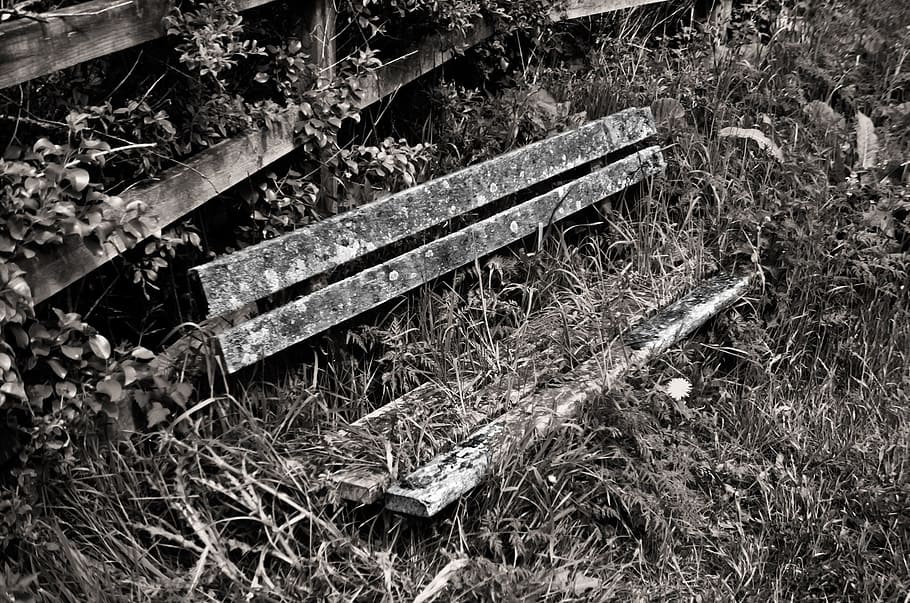 old, bench, wood, architecture, decoration, background, grass HD wallpaper