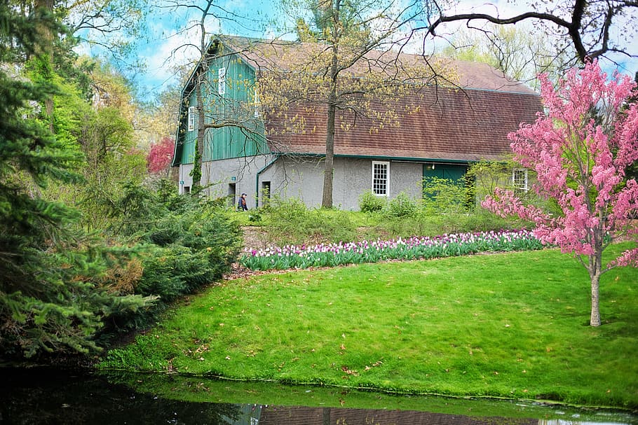 brown and green wooden house beside green grases, barn, green barn HD wallpaper