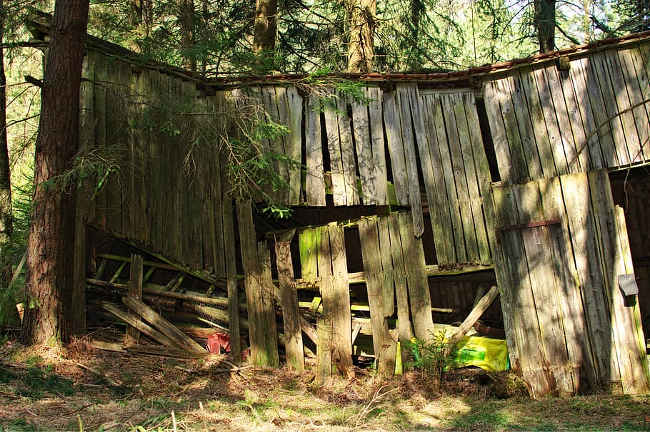 hut, log cabin, barn, woodhouse, nature, old, field barn, scale, HD wallpaper