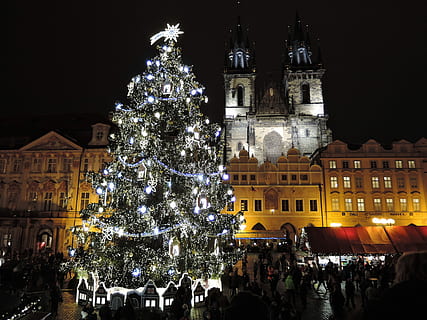 lighted Christmas tree in front cathedral, Prague, Christmas, Tree HD wallpaper