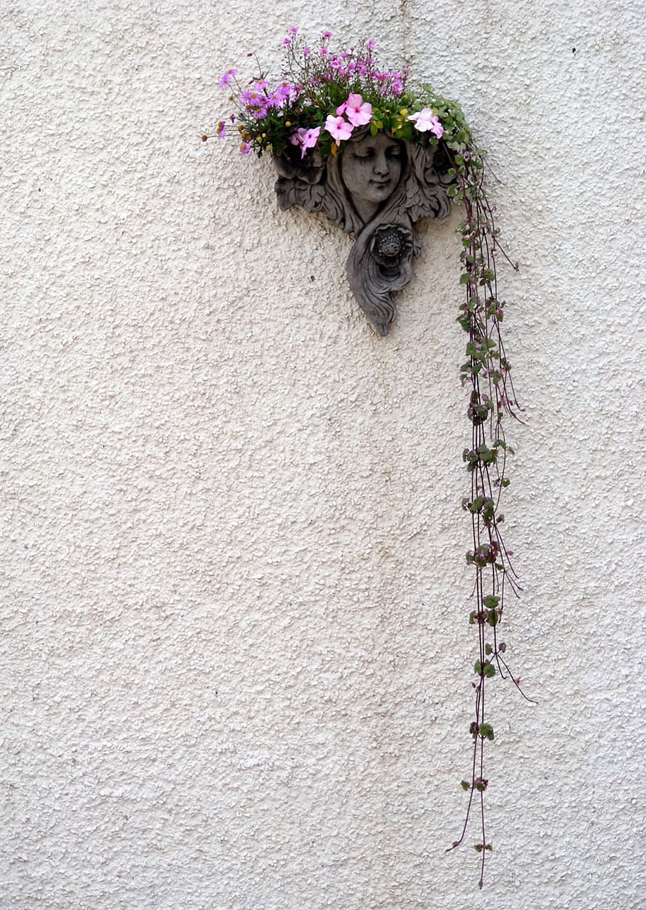 wall, flowers, plants, ivy, head, decoration, decorative, artistic HD wallpaper